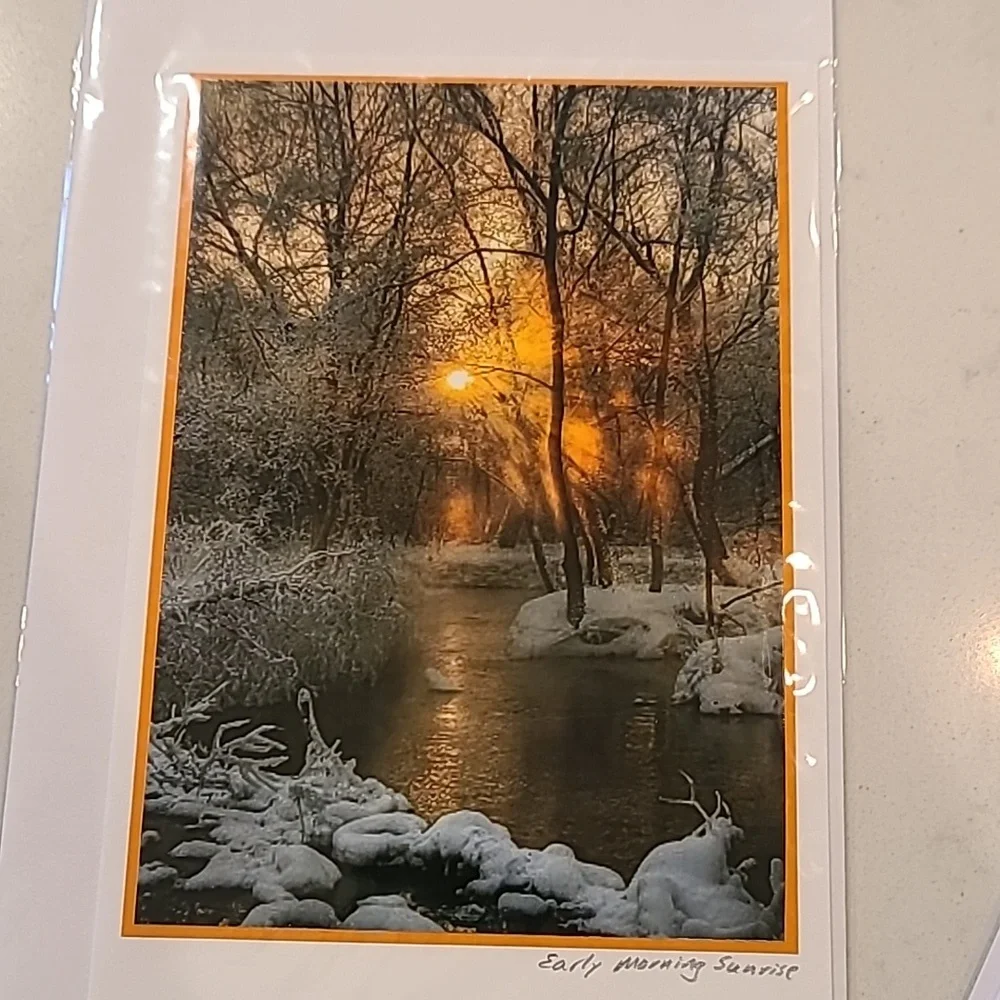 Nature Wildlife Cards. NEW